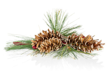 Group of three whole forest brown pine cone heap isolated on white background