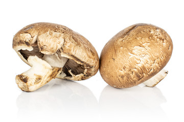 Group of two whole fresh brown mushroom champignon isolated on white background