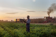 © Budimir Jevtic - Farmer in carrot field with combine harvester in background
