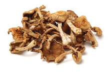 Dried Mushroom On White Background