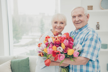 Closeup photo of two adorable aged people cute pair anniversary holiday surprise big red tulips bunch flat indoors