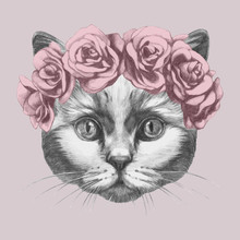 Hand-drawn Portrait Of Cat With Roses. Vector Isolated Elements.
