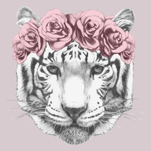 Portrait Of Tiger With Floral Head Wreath. Hand-drawn Illustration Of Dog. Vector Isolated Elements.