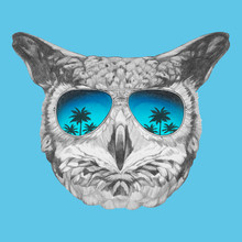 Portrait Of Owl With Mirrored Sunglasses,  Hand-drawn Illustration. Vector Isolated Elements.
