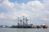 Fototapeta Sawanna - View on gantry cranes and containers in the New Port container terminal.