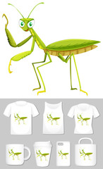 Wall Mural - Graphic of grasshopper on different product templates