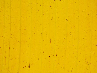 Sticker - yellow banana leaves texture