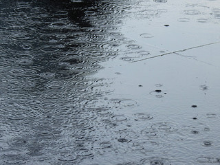 Poster - rain drop on wet floor in street