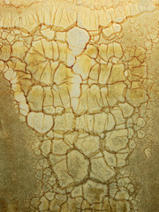 Wall Mural - old dirty glass wall texture