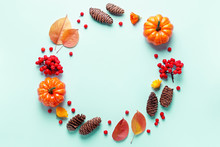 Autumn Frame With Leaves, Rowan Berries, Orange Pumpkins, Pine Cones On Pastel Background, Flat Lay. Fall, Thanksgiving Concept. Lay Out With Autumn Leaves And Plants In Fall Colors, Copy Space