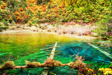  Amazing lake with clear azure water in autumn forest