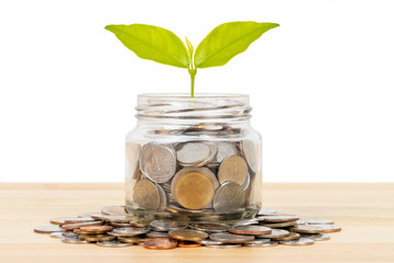 Coin glass jar container and pile on wooden desk with tree leaves, saving concept, on white background