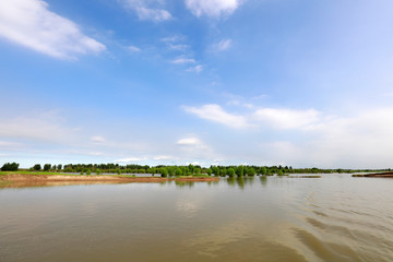 Poster - swift river in nature