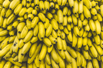 A bunch of bananas in the market. Many ripe yellow bananas on a supermarket counter