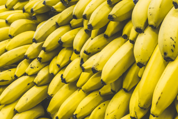 Wall Mural - A bunch of bananas in the market. Many ripe yellow bananas on a supermarket counter