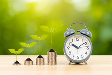 Coin Stack With Growing Leaves And Alarm Clock On Wooden Desk  On Green Tree Background, Time For Saving Concept