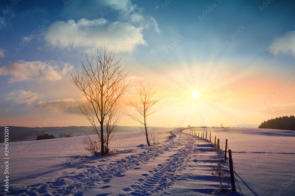 Winter sunset landscape with tree and field way. - obrazy, fototapety, plakaty 