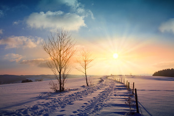 Wall Mural - winter sunset landscape with tree and field way.