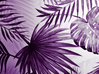 Wall Mural - Beautiful abstract dark and pink purple leaves on white with a natural background and white purple tree leaf on darkness texture pattern