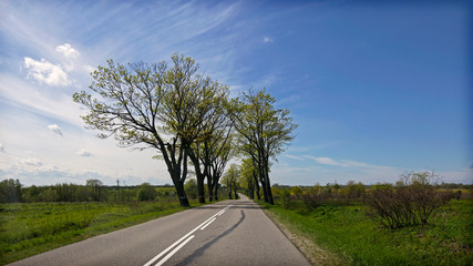 The road calls to follow it into the distance. Spring and the road - the beginning of travel.