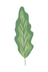 Poster - ecology leaf plant isolated icon