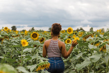 Back View Of Woman In Sunflower Garden