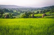 © Ryan Mitchell - Panoramic view of green hills in Zefine, Ethiopia