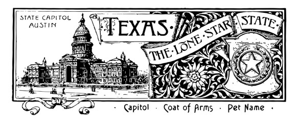 Wall Mural - the state banner for texas the lone star state vintage illustration