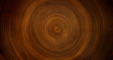 Detailed Warm Dark Brown And Orange Tones Of A Felled Tree Trunk Or Stump. Rough Organic Texture Of Tree Rings With Close Up Of End Grain.