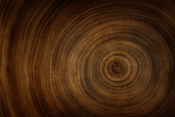 Detailed warm dark brown and orange tones of a felled tree trunk or stump. Rough organic texture of tree rings with close up of end grain.