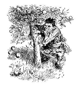 Dwarf Apple Tree vintage illustration