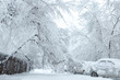 © LariBat - Snow blockages. The trees broke under the weight of wet snow and blocked the road between houses and crushed cars. Image of bad weather, cold climate