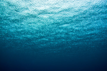 a shot taken from beneath the surface of the sea looking up at the sky. the light patch is the sun o