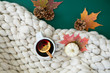 Spiced cider with orange and cinnamon on green background with fall leaves and pinecones, chunky wool knit blanket