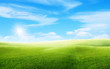 Beautiful landscape view of Green grass natural meadow field and little hill with white clouds and blue sky in summer seasonal.