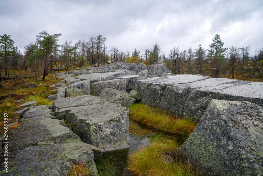 Small swamp on top of mountain Vottovaara with stones and dead trees, Karelia, Russia