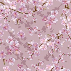 Wall Mural - Cheery blossom  seamless pattern vector illustration