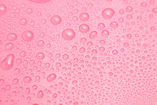 Close Up Water Drops On Pink Background, Water Drop In Macro Photography