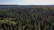 Feld, Wald und Wiesen - Kameraflug
