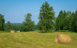 Fototapeta Na ścianę - View of hay bales on the field after harvest