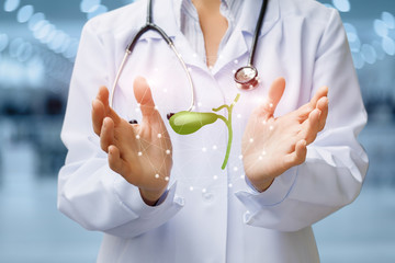 Wall Mural - Doctor shows gallbladder on blurred background.