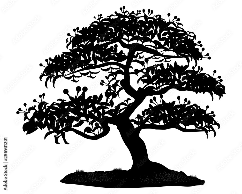 bonsai scissors $35000 Black Bonsai Trimming Scissors