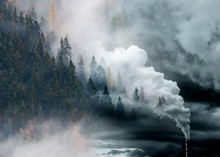 Factory Smoke Covering Pine Forest Double Exposure Global Warming Climate Change