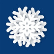 The white snowflake on a blue background