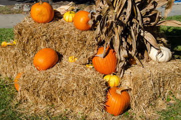 fall decorations setup for display in southport north carolina. pumpkins ready for halloween.