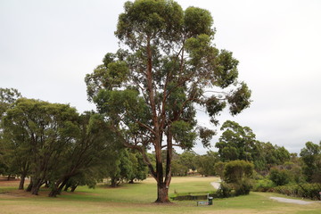 holiday in walpole nornalup inlet, western australia