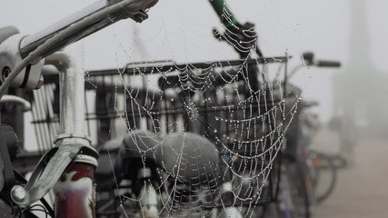 Spider web on the bike