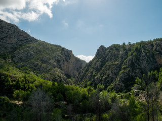 Wall Mural -  mountains with vegetation and lonely valley