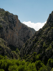 Wall Mural -  mountains with vegetation and lonely valley