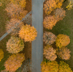 Landscape city park in a beautiful autumn day. View from above on trees with red and yellow leaves and track. Autumn photography with bird's eye view. Top view